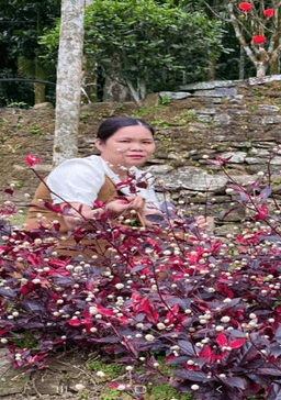 Hồ Thị Mộng Tuyền