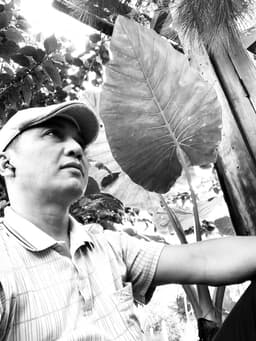 Văn Phú Quốc