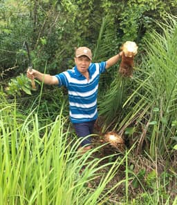 Nguyễn Thanh Hải
