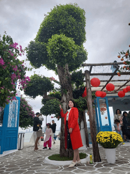 Hồ Thị Sao Vương